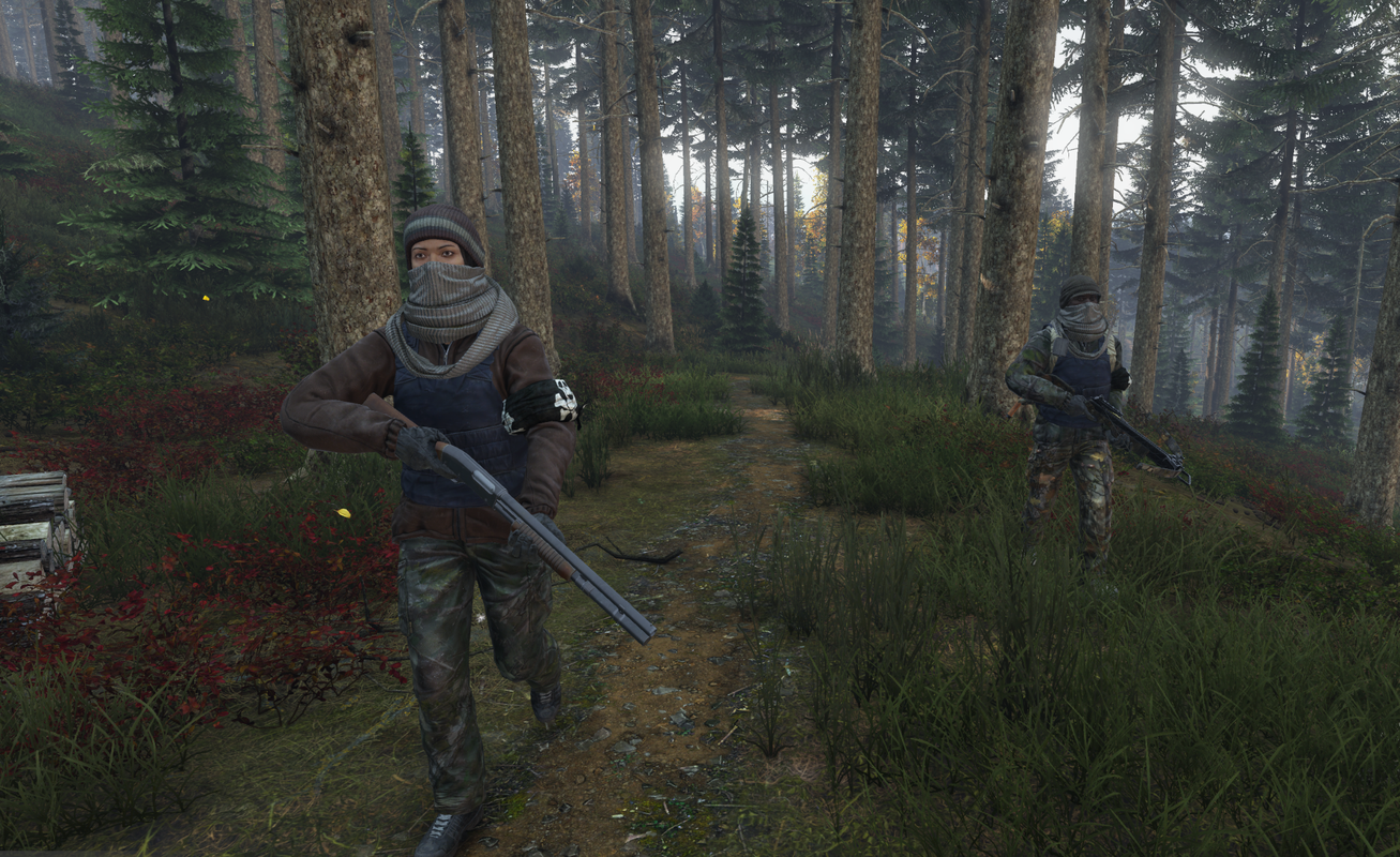 Armed bandits moving through the woods near their camp